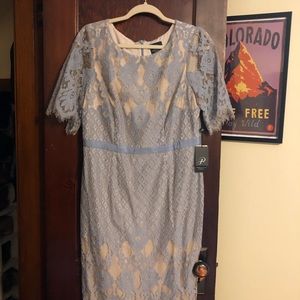 Adrianna Papell Bell Sleeve Georgia Laces Dress